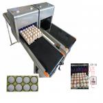 Small Size Egg Marking Equipment Customize Printer With Clean Maintenance Equipment