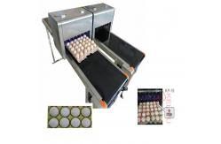China Small Size Egg Marking Equipment Customize Printer With Clean Maintenance Equipment supplier
