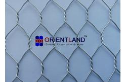 China 3/4 Chicken Wire Cloth , Hot Dipped Galvanized Poultry Netting Strong Structure supplier