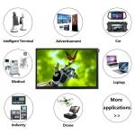 LVDS 10.1 Inch LCD Display 1280*800 Resolution IPS Panel Customizable