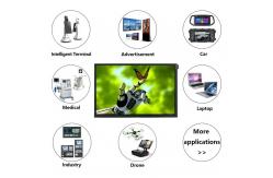 China LVDS 10.1 Inch LCD Display 1280*800 Resolution IPS Panel Customizable supplier