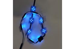 China Amusement Indoor Outdoor Point Led Light String Waterproof 24V 100pcs/String supplier