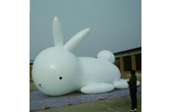 China Customized inflatable cartoon, large inflatable model for advertising supplier
