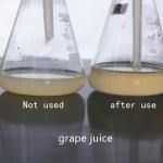 Fruit Enzyme Drink Used For Juice / Fruit Wine And Wine Processing