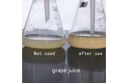 China Light Yellow Pectinase In Fruit Juice Production Pectinase Liquid supplier