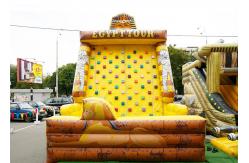 China Inflatable Amusement  Park With Golden Rock Climbing Wall , Printed Partern supplier