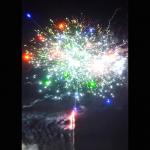 Chinese 2inch 49 Shots Pyrotechnic Cake Fireworks Customized New Year Fireworks for sale