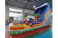 China Adult Outdoor Inflatable Water Slides Palm Tree Jumping Bouncy Castle supplier
