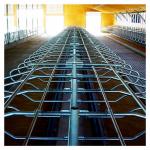 200cm Free Stall Barn Galvanized Round Tube And Stell Pipe For Cow