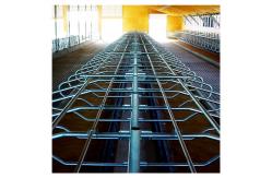 China 200cm Free Stall Barn Galvanized Round Tube And Stell Pipe For Cow supplier
