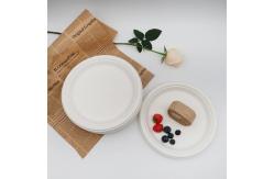 China 9 Inch Eco Biodegradable Bagasse Tableware 10in Round Sugarcane Waste Plates Pulp Molded supplier