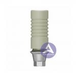 Osstem GS(TS)® UCLA All-Plastic Castable GoldCast Abutment Compatible  Mini / Regular