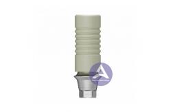 China Osstem GS(TS)® UCLA All-Plastic Castable GoldCast Abutment Compatible  Mini / Regular supplier