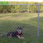 100x100mm 8 Ft X 50 Ft Diamond Chain Link Fence for sale