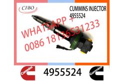 China QSK19 Neutral fuel injector Y431K05420 F00BL0J019 2867149 2882079 4964170 4918073 4955524 4964173 supplier