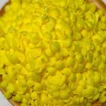 Wholesale Dry Bread Crumbs Supplier | Support Private Label and Custom Sizes for sale