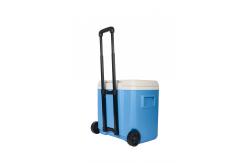 China Portable Cooler Box Cold Chain Transportation Outdoor Camping Function supplier