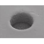 Laser Direct Imaging PCB With Fixed Scale/ Auto Scale/ Interval Scale/ Partition Alignment File Format for sale