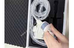 China Toshiba PVT-781VTE 11C3 Ultrasound Probe: Endocavitary Transducer for Gynecological & Obstetric Imaging supplier