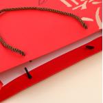 Gold Foil Red Matt Laminated Kraft Paper Shopping Bags With Handles