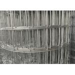 Free Sample Galvanized Welded Wire Mesh Roll For Protection And Decoration for sale