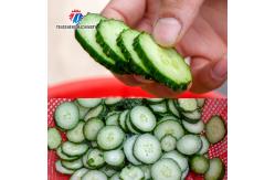China 0.375KW Vegetable Processing Machine Desktop Leeks Cutter supplier