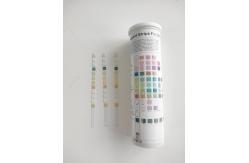 China Fsc Urinalysis Test Strips 10 Parameter 100 Strips/Bottle supplier