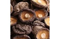 China Healthy Dry Shiitake Mushroom 1kg Smooth Surface 2 Years Shelf Life supplier
