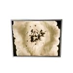 21.3 inch NL204153BM21-02 LCD Screen Display for Medical Imaging for sale