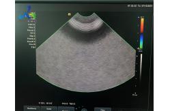 China Siemens C8-5 Ultrasound Transducer Repair For Crystal Array Replace supplier