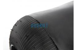 China Spring Suspens Air Spring Air Bellow 662N W010950207 Airbag Rubber 9007 supplier