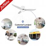 Low Ceiling 52 Inch LED Ceiling Fan with Smooth Operation and Flush Design