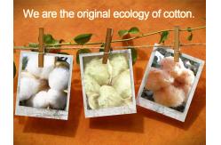 China To sample processing custom GOTS organic cotton baby socks, children socks supplier