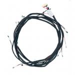 Terminals Automotive Wire Harness For New Energy Batteries ISO14004 for sale