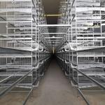Galvanized 3-10Tiers H Type Layer Cage , 384 Chicken Egg Laying Cages for sale