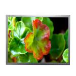 20 pins 10.4 inch tft lcd module AT104XH01 screen 1024×768 lcd screen display for sale