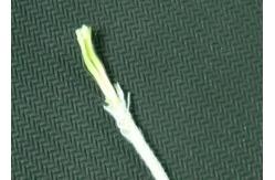 China High Tenacity 1000D 1500D Dupont Aramid Yarn For Cable Filler supplier