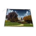 LTM15C460 15.0 inch 1024*768 TFT LCD Screen Display for sale