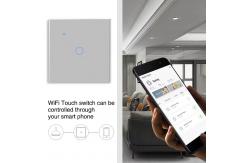 China Smart WIFI Light Switch Grey 1 Gang Waterproof Fireproof Vioce Control supplier