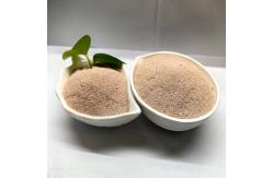 China Feed Additives Nano Selenium Light Red Powder Enhance Animal Immune Function supplier
