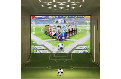 China Ar Indoor Interactive Football Simulator Virtual Football Interactive Projection supplier