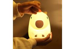 China Non-Toxic Platinum Silicone LED Night Light for Office and School supplier