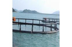 China White Aquaculture Net Cage Long Working Life Eco - Friendly Feature supplier