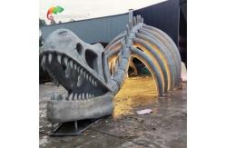 China ISO Animatronic Dinosaur Skeleton Passageway supplier