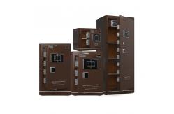 China Dual Alarm Fingerprint Lock luxury Home Safe Box YB/N6-35#---180# supplier