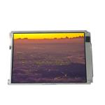 LTM10C313K 10.4 inch 262K 1024*768 TFT LCD Screen Display for sale