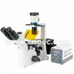 200X Laboratory Inverted Fluorescence Microscope Halogen Lamp Microscopes A16.0901 for sale