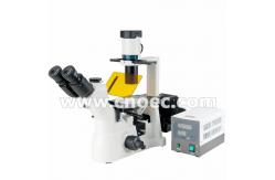 China 200X Laboratory Inverted Fluorescence Microscope Halogen Lamp Microscopes A16.0901 supplier