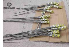China Mineral Insulated Thermocouple Extension Wire With Plug Class 1 IEC ANSI High Temperature supplier