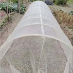 Lightweight And Breathable Garden Netting Easy To Install For Vegetable Beds